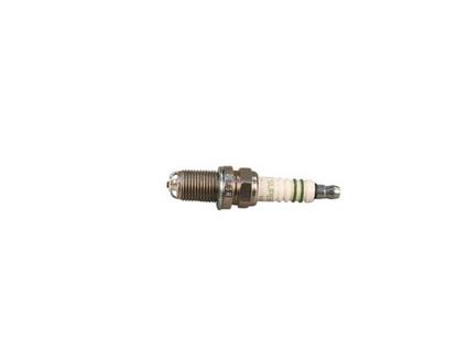 BMW Spark Plug 12129069877